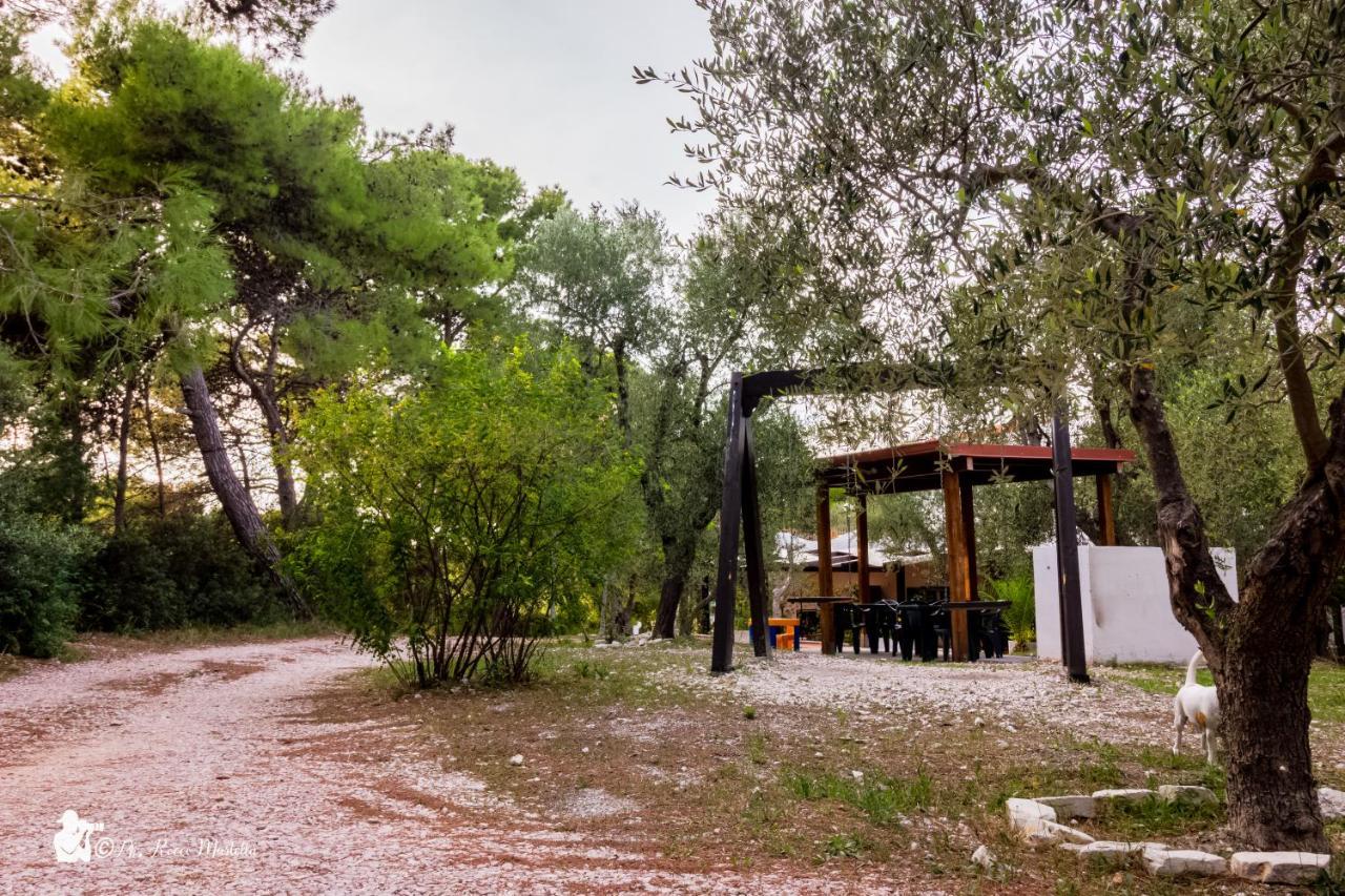 Villa Anna Residence Rodi Роди Гарганико Екстериор снимка